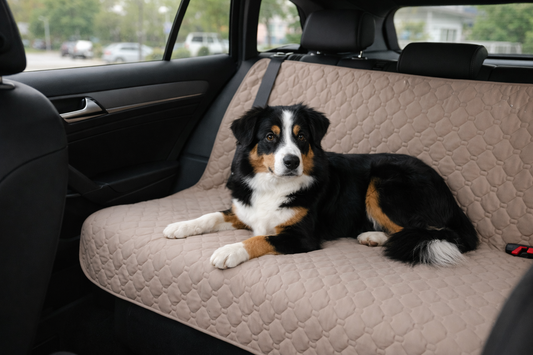 Top reasons to use waterproof dog blankets in your car