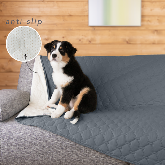 Are stylish waterproof dog blankets worth it?