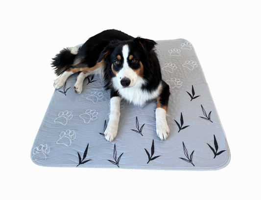 NEW Puppy Pads!