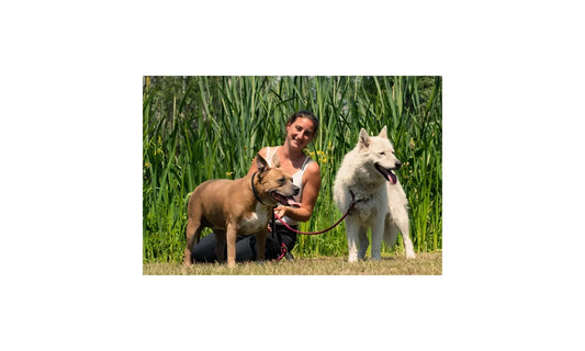 Nathalie Dai - Dog Behavioral Counselor