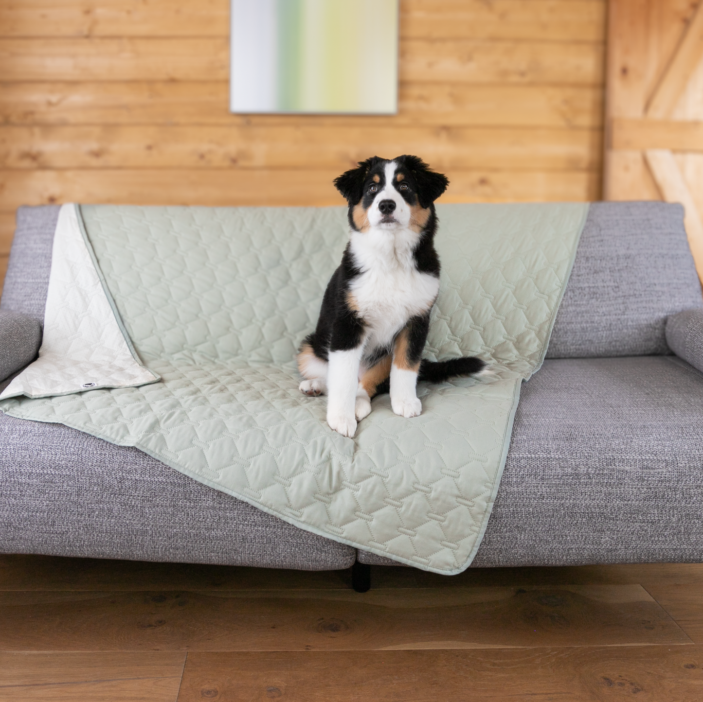 Dog blanket ANTI-SLIP 210 x 210 cm